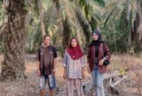 Oplus_131072